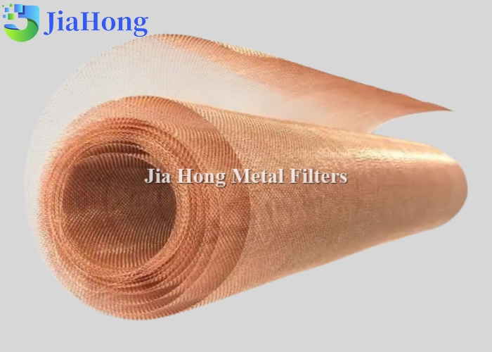 Phosphor Bronze Wire Mesh